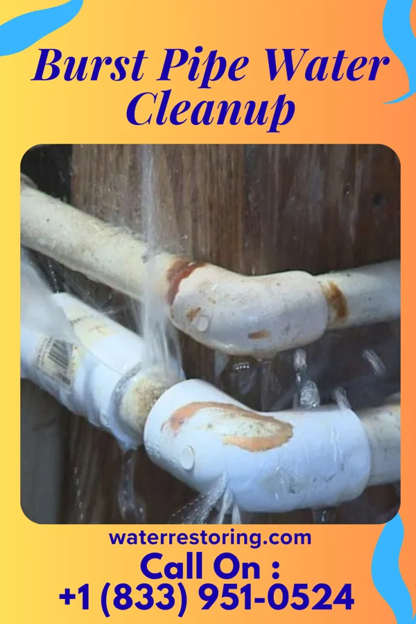 Burst Pipe Water Cleanup in North Lindenhurst, NY