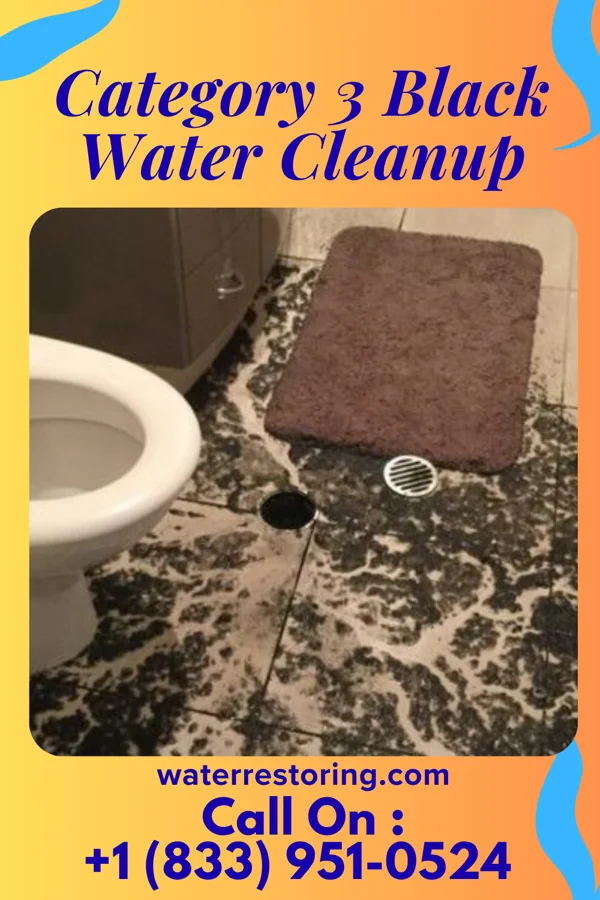 Category 3 Black Water Cleanup in North Lindenhurst, NY