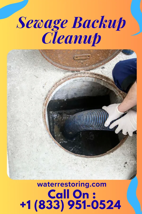 Sewage Backup Cleanup in North Lindenhurst, NY